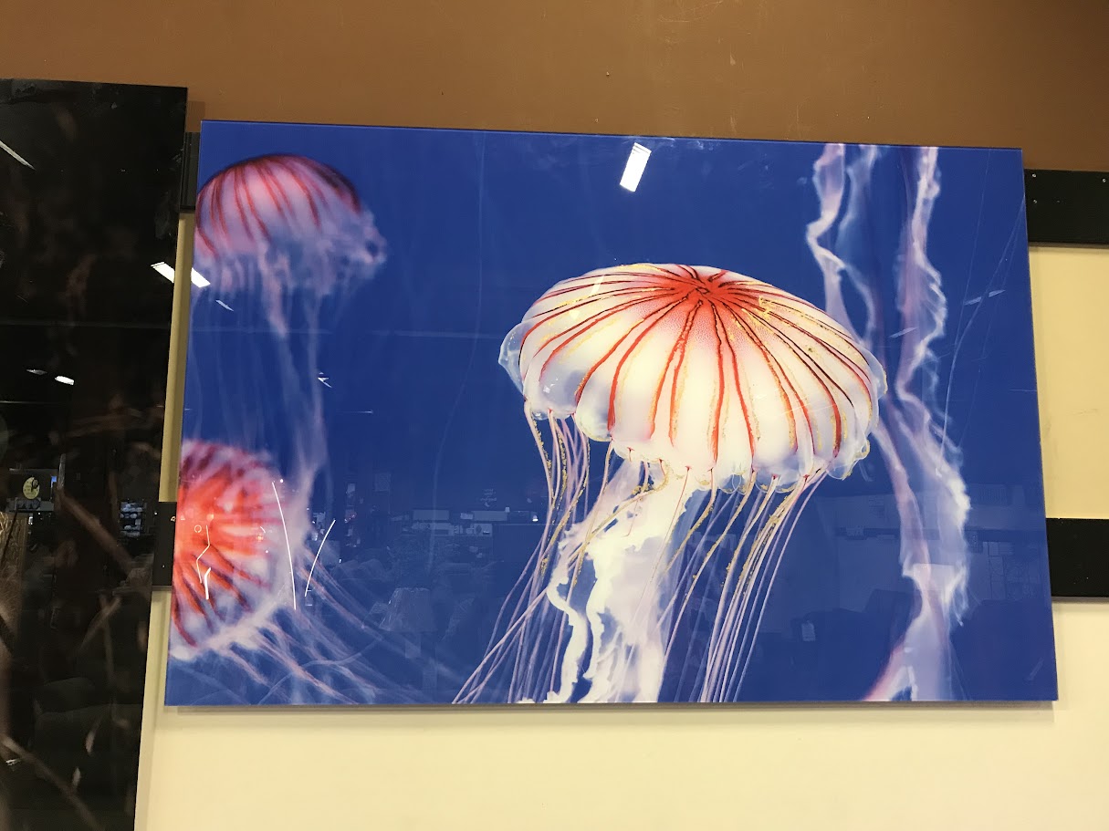 Classy Art SF1582 Tempered Glass w/ Foil 40 x 60 Jelly White