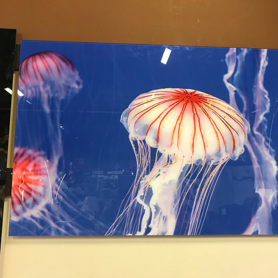 Classy Art SF1582 Tempered Glass w/ Foil 40 x 60 Jelly White
