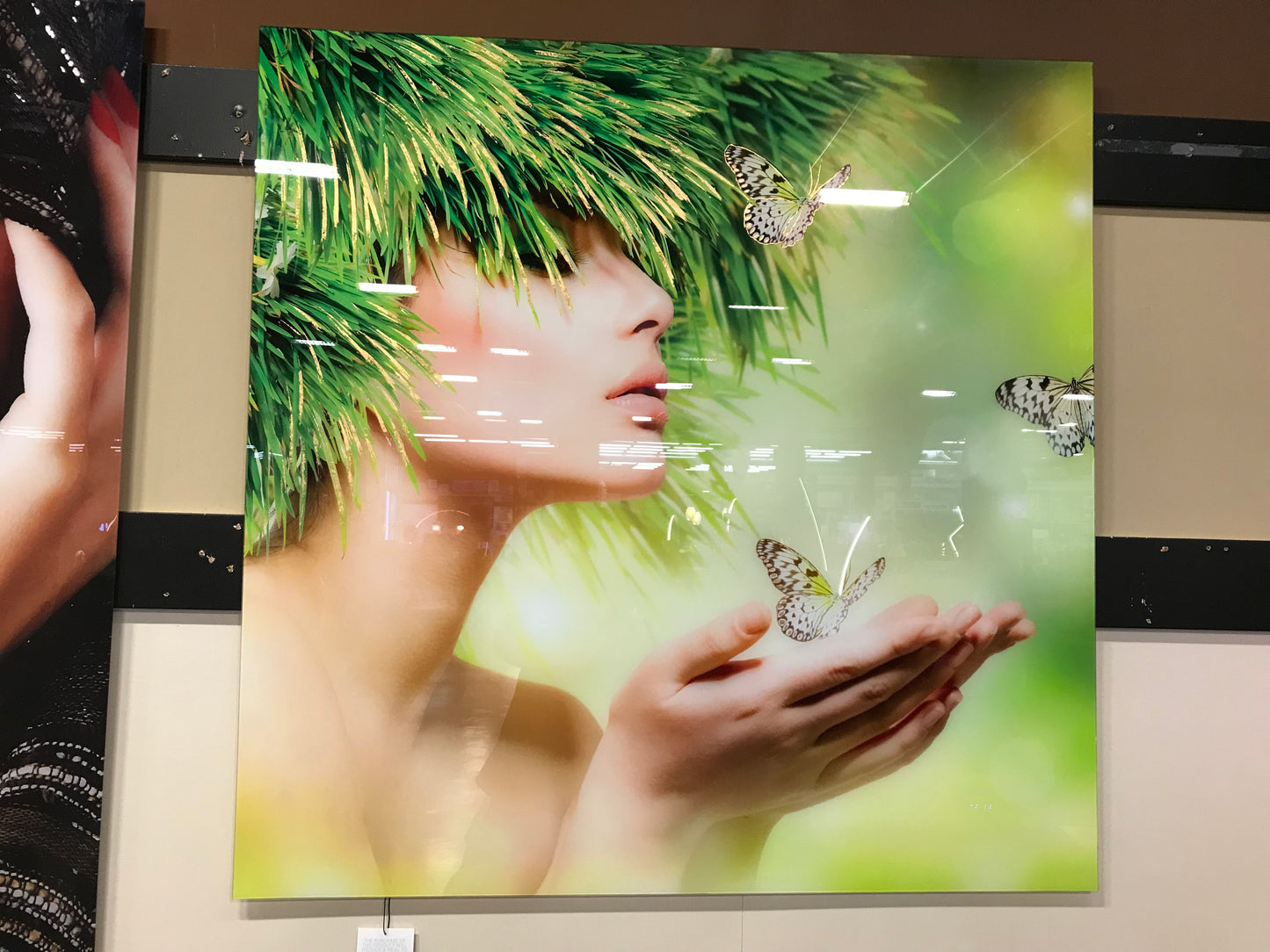 Classy Art SF1686 Tempered Glass w/ Foil 50 x 50 Grassy Lady