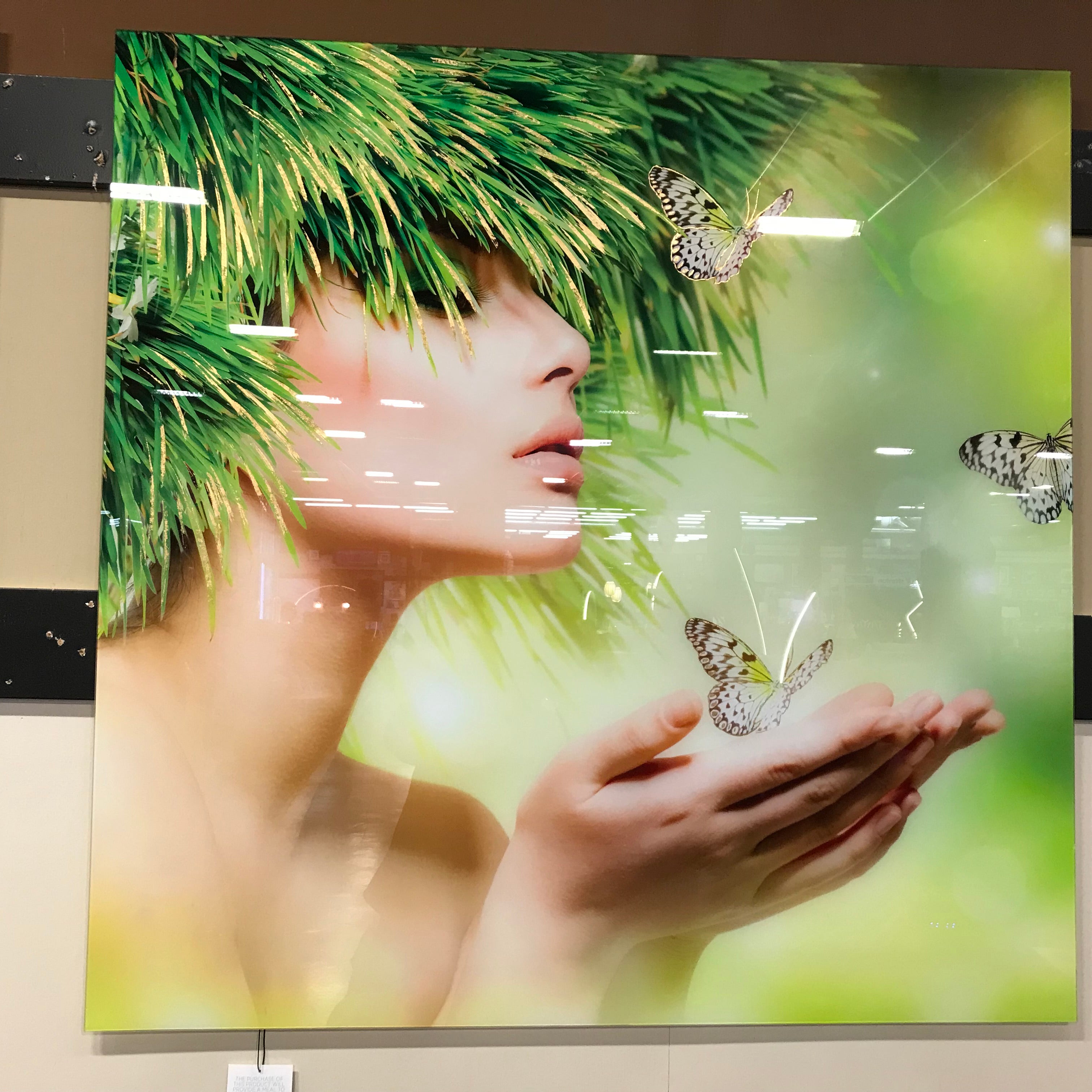 Classy Art SF1686 Tempered Glass w/ Foil 50 x 50 Grassy Lady