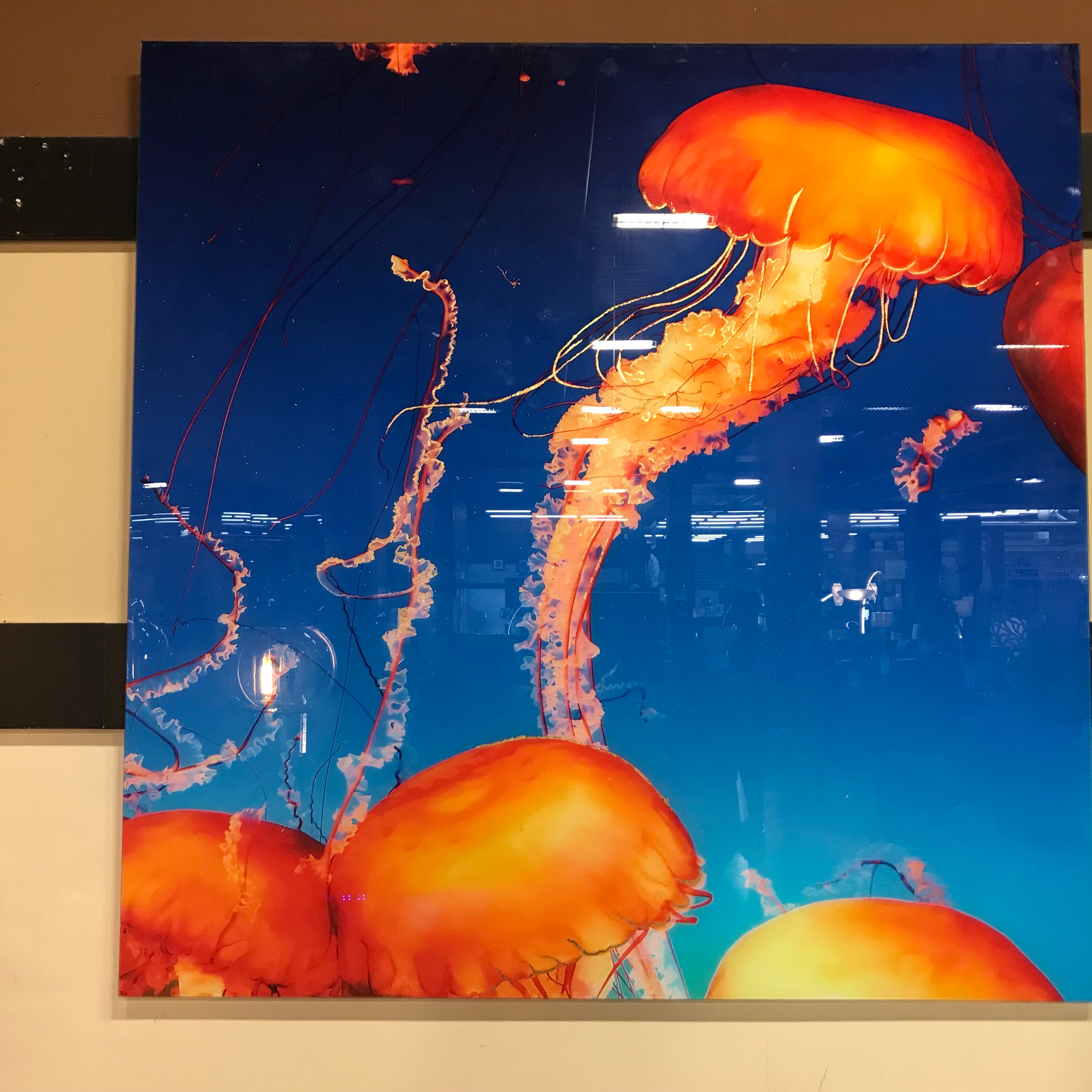 Classy Art SF1578 Tempered Glass w/ Foil 50 x 50 Jelly Orange