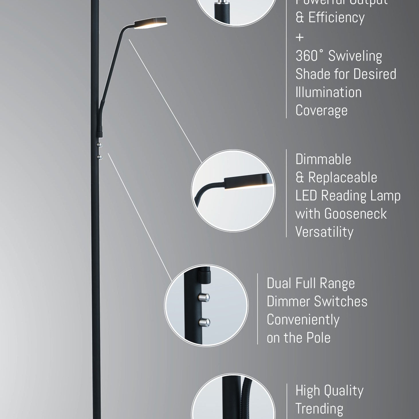 Lite Source LS-83356BLK Hector 2 Light Reading Floor Lamp