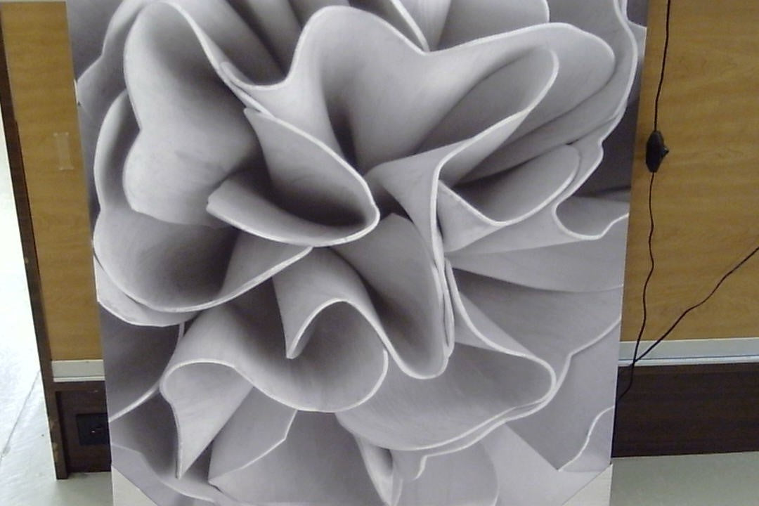 Classy Art Gray Scale Floral Canvas 36x48