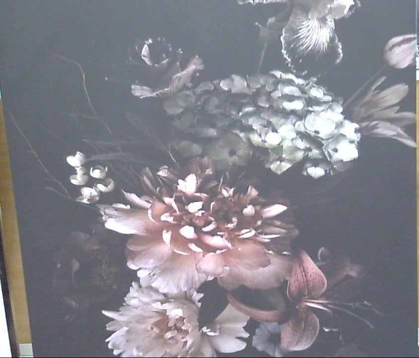 Classy Art Black Background w/ Colorful Floral Canvas 36x48