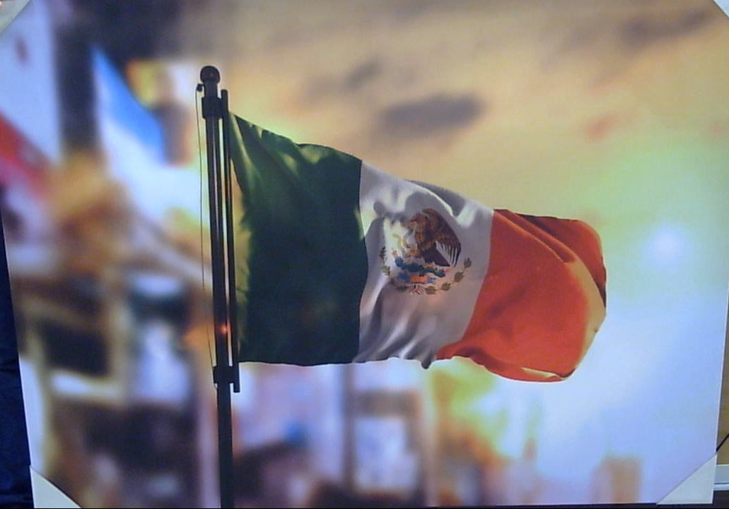 Classy Art Viva La Mexico Canvas 36x48