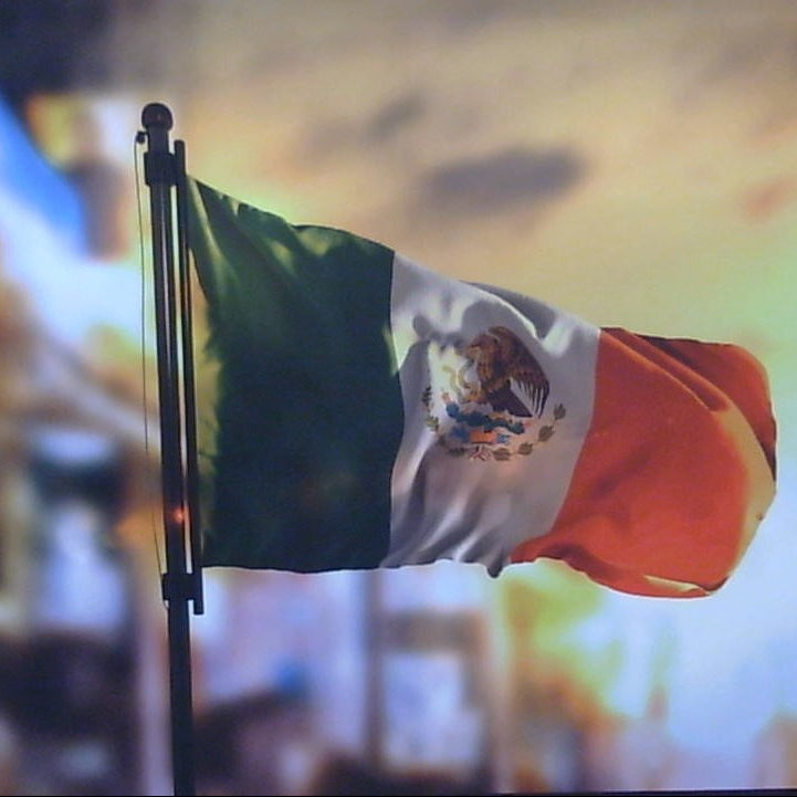 Classy Art Viva La Mexico Canvas 36x48
