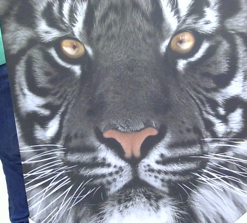 Classy Art Tiger Face Canvas 36x48