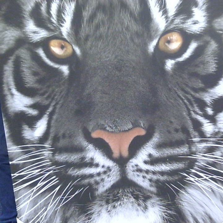 Classy Art Tiger Face Canvas 36x48