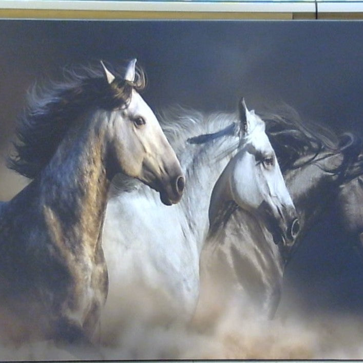 Classy Art Stallions in a Dusty Tempest Canvas 36x48