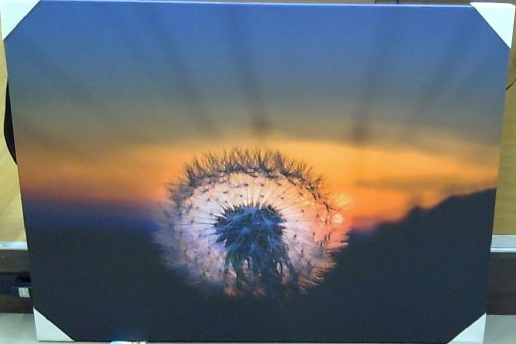 Classy Art Wish Upon the Horizon Canvas 36x48