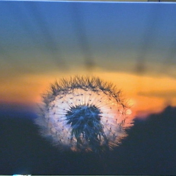 Classy Art Wish Upon the Horizon Canvas 36x48