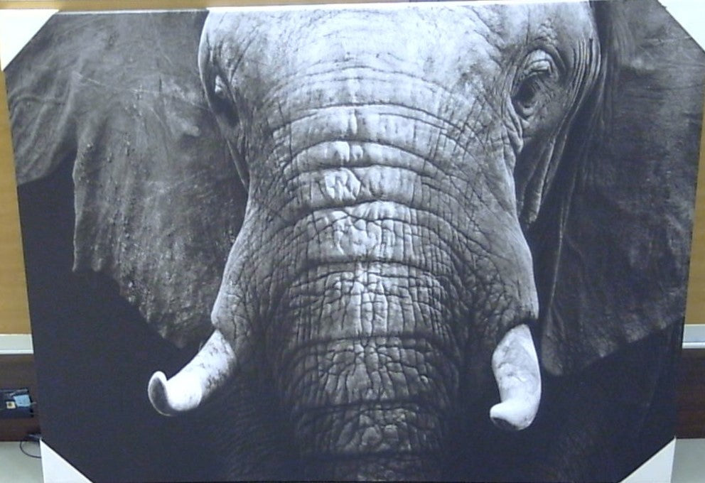 Classy Art The Elephant's Silent Wisdom Canvas 36x48