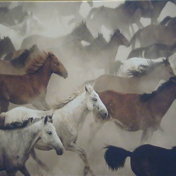 Classy Art Stampede in the Mist: The Wild Herd's Untamed Dance Canvas 36x48