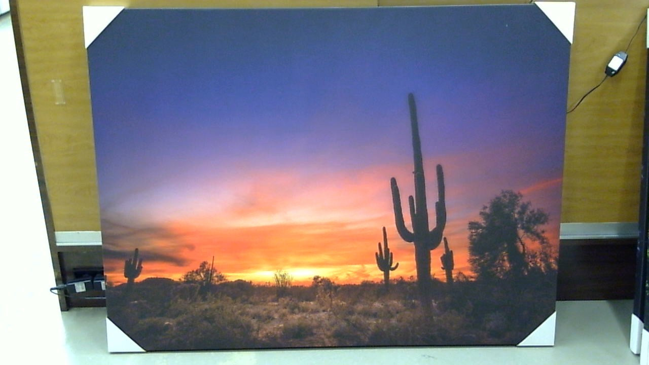 Classy Art Saguro Sunset (36x48)