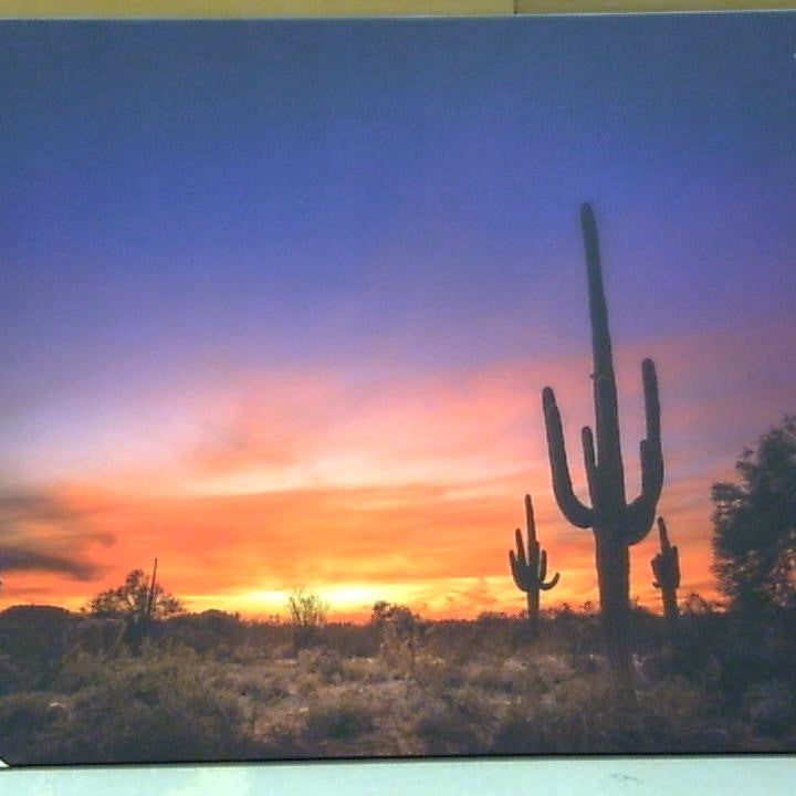 Classy Art Saguro Sunset (36x48)