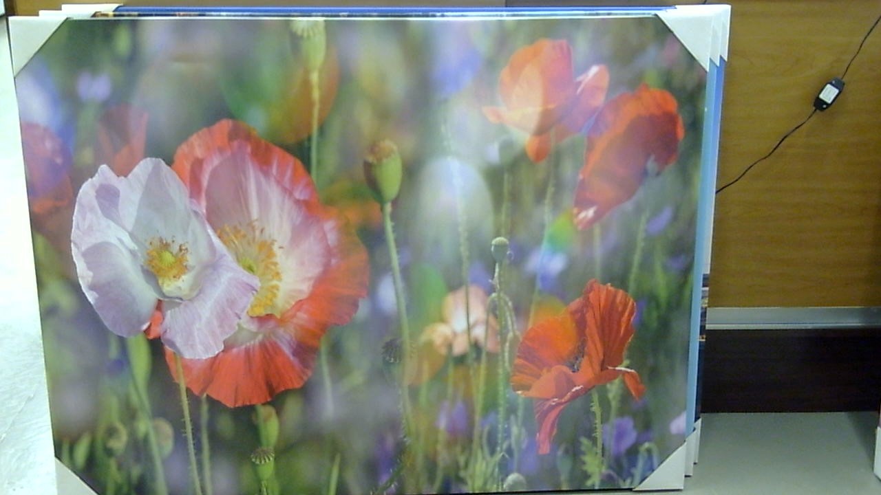 Classy Art Wildflowers (36x48)