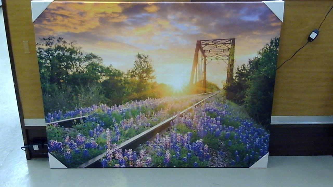 Classy Art Wildflower Bridge (36x48)