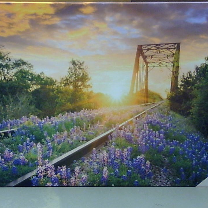Classy Art Wildflower Bridge (36x48)