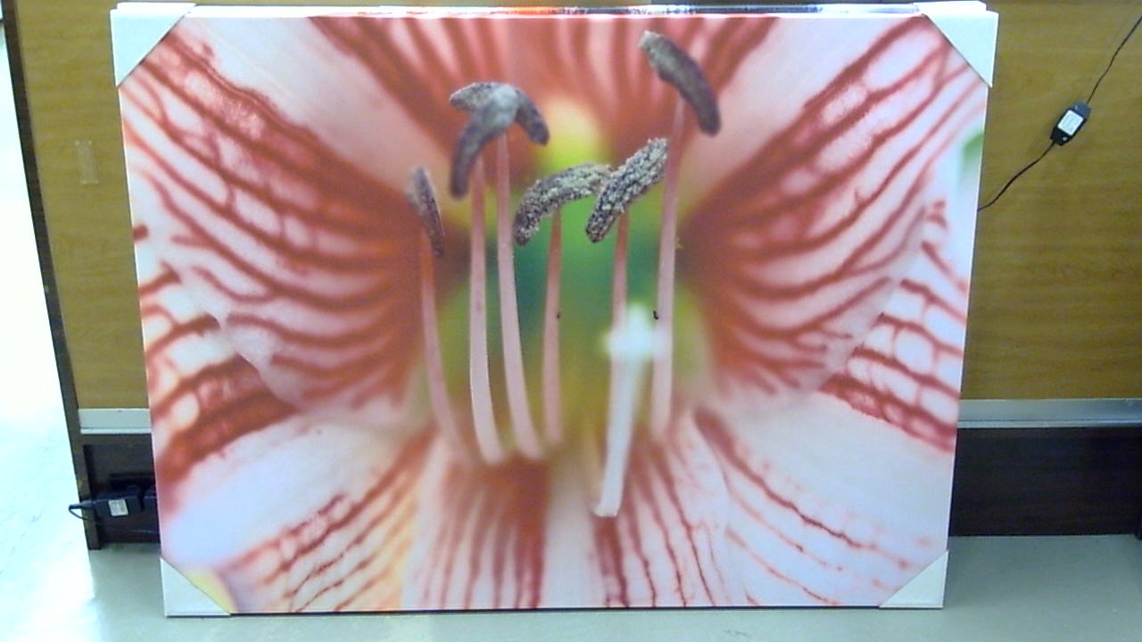 Classy Art Passion Flower (36x48)