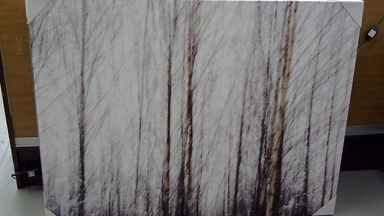 Classy Art White Forest (36x48)
